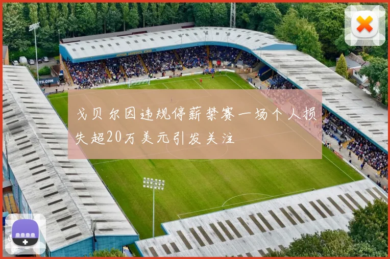戈贝尔因违规停薪禁赛一场个人损失超20万美元引发关注
