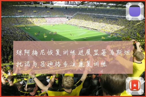 琼阿梅尼恢复训练进展显著马斯坦托诺与吕迪格专注康复训练