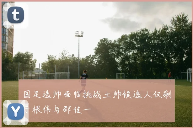 国足选帅面临挑战土帅候选人仅剩于根伟与邵佳一