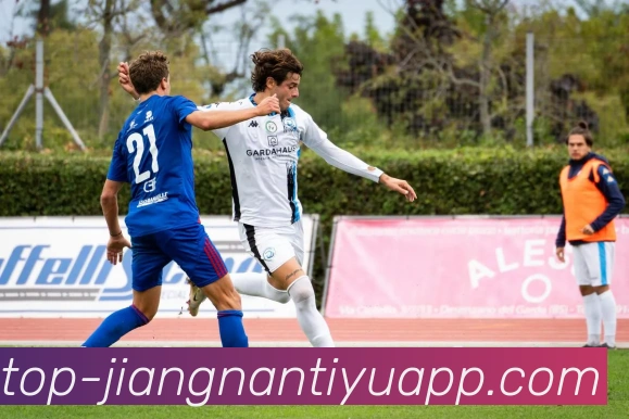 江南体育平台生态图